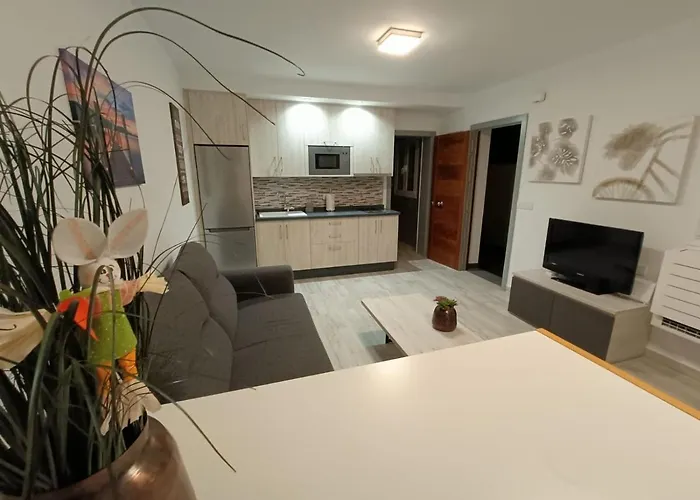 Cotufa Garden San Cristóbal de La Laguna