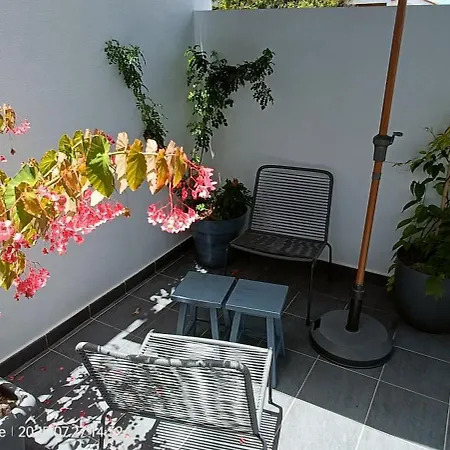 Cotufa Garden Apartamento *