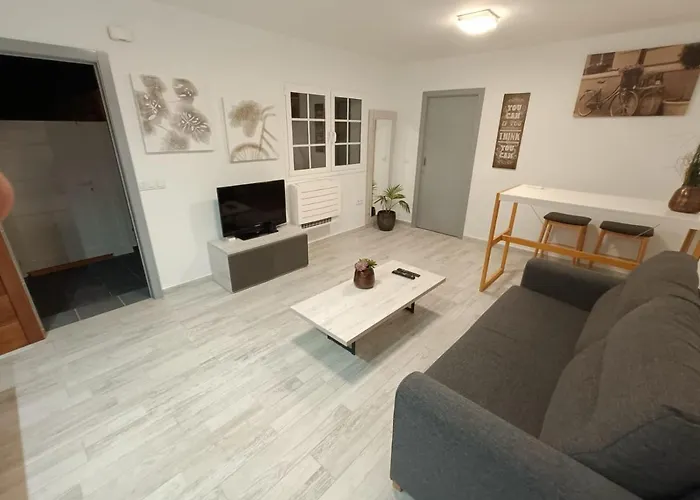 Cotufa Garden La Laguna