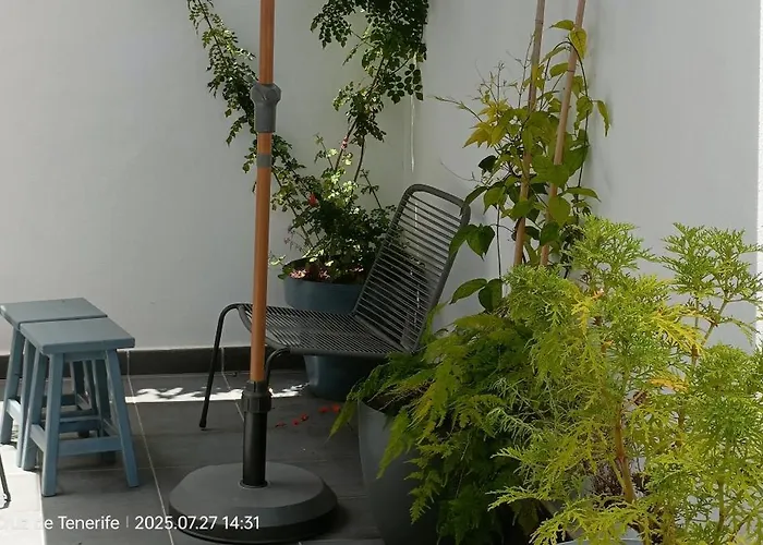 アパート Cotufa Garden